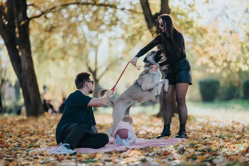 family autumn park dog baby blanket enjoying sunny day outdoors spends time mother father interact their 418387114